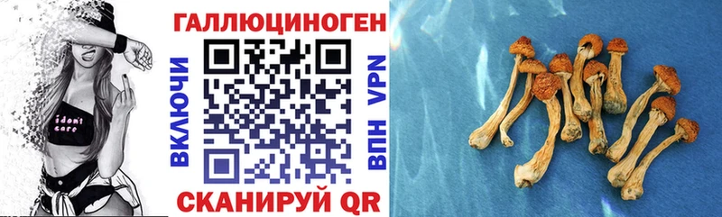 Галлюциногенные грибы прущие грибы  сколько стоит  Новочеркасск 